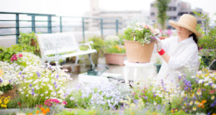 femme jardinant sur sa terrasse